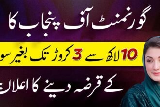 How to Apply For Maryam Nawaz Karobar Card Loan Scheme?