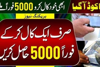 List of Codes For Maryam Nawaz Ramzan Package