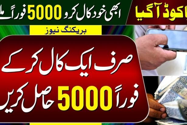 List of Codes For Maryam Nawaz Ramzan Package