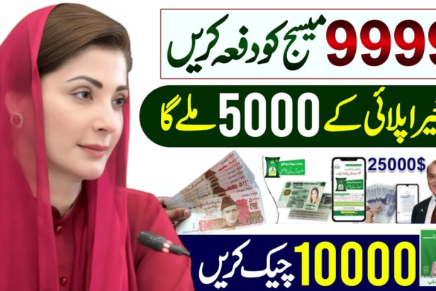 Correct Way To Check Maryam Nawaz 10000 Payment