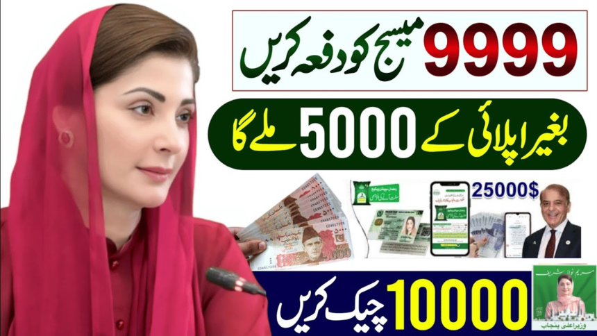 Correct Way To Check Maryam Nawaz 10000 Payment