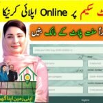 Maryam Nawaz 3 Marla Plot Scheme Apply Online