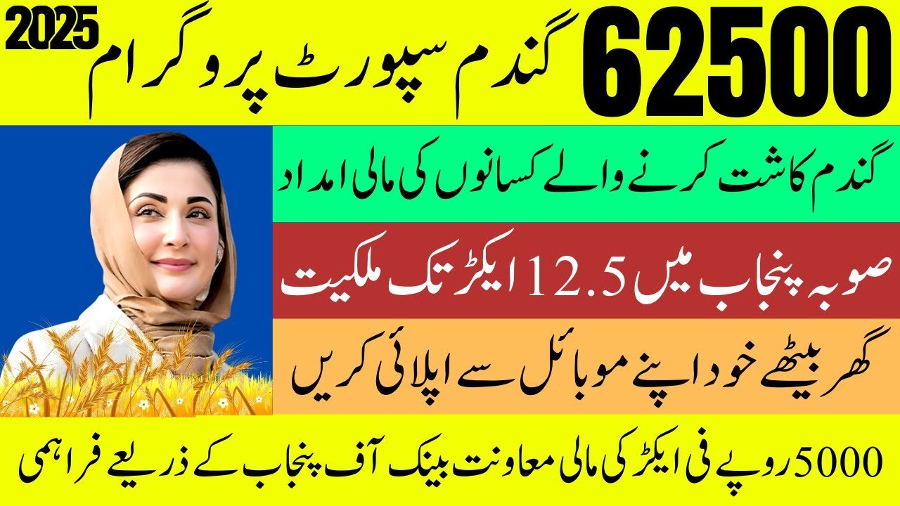 Maryam Nawaz WPS 2025 Punjab Programme